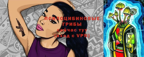 ешки Кукмор