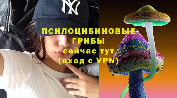 ешки Кукмор